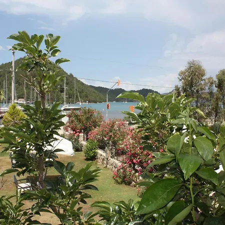 Palmiye & Marina מלון 2*