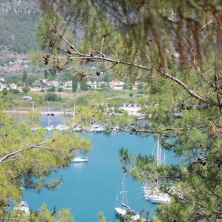 מלון Palmiye & Marina Orhaniye (Marmaris)