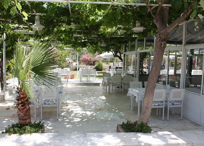 Palmiye & Marina Hotel Orhaniye (Marmaris)