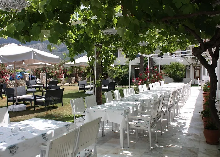 Hotel Palmiye & Marina 2*